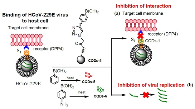 Mecanismo de ação das nanopartículas (a) inibição do receptor da proteína S.(b)inibição da replicação do RNA viral.