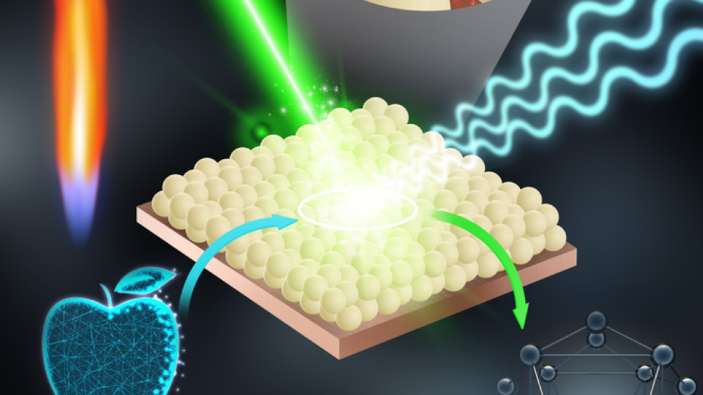 Nanossensores na detecção precoce de patógenos em plantas