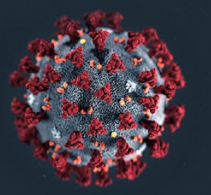 Diagnóstico de infecções virais a partir de sensores nanoplasmônicos